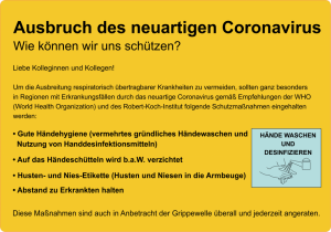 Coronavirus Informationsaufkleber 25 x 17,5 cm (wetterfest)